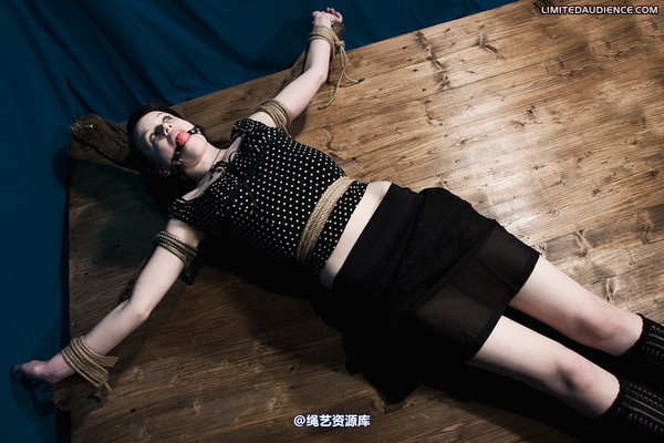 limitedaudience - 2010 luisa helpless to resist 第 11 张图片
