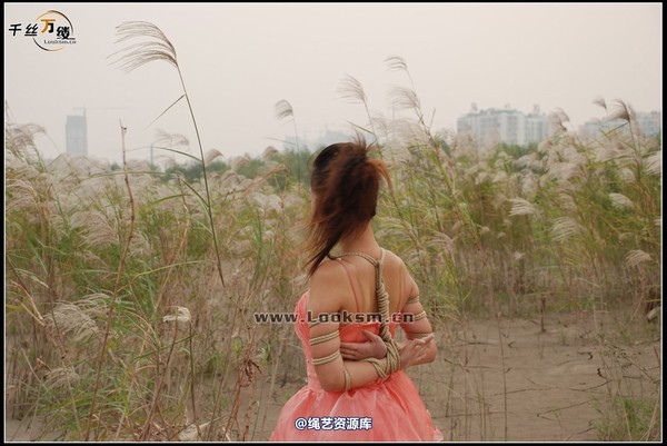 千丝万缕 - 2007-10-11日照片 第 25 张图片