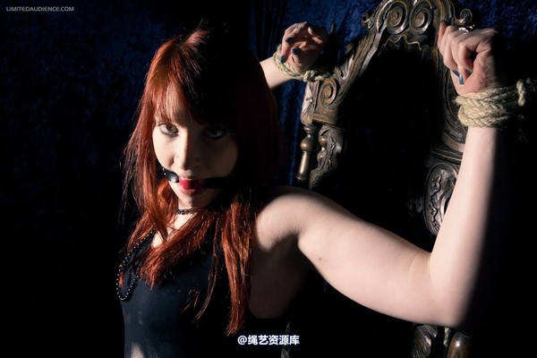 limitedaudience - 2012 syrah lee defiant captive 第 21 张图片