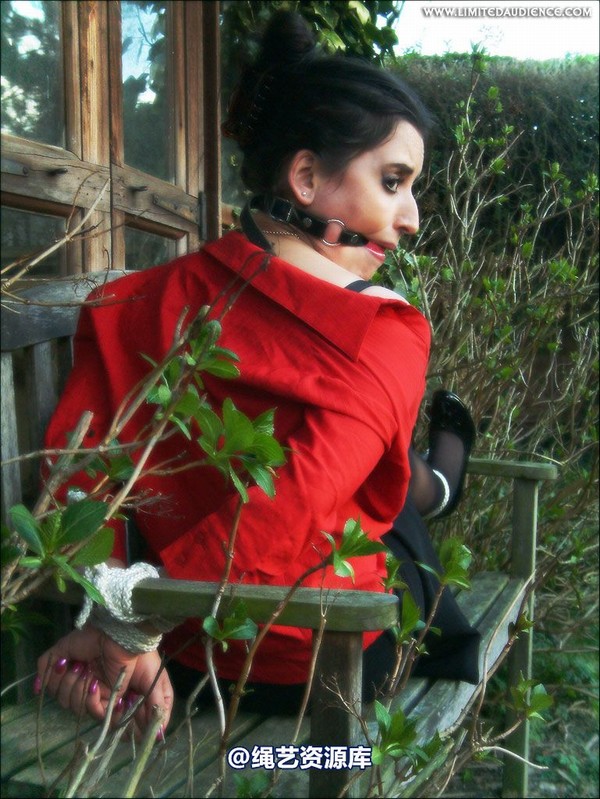 limitedaudience - 2007 jasmine de launay tied on lunch break 第 48 张图片