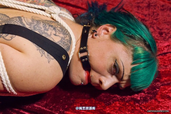 limitedaudience - 2012 raevan hogtied 2 第 3 张图片