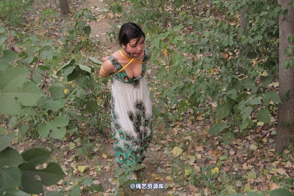 胜景山庄 - 275-山林绑着堵嘴狂跑 第 34 张图片