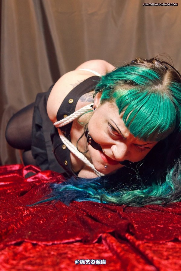 limitedaudience - 2012 raevan hogtied 第 20 张图片