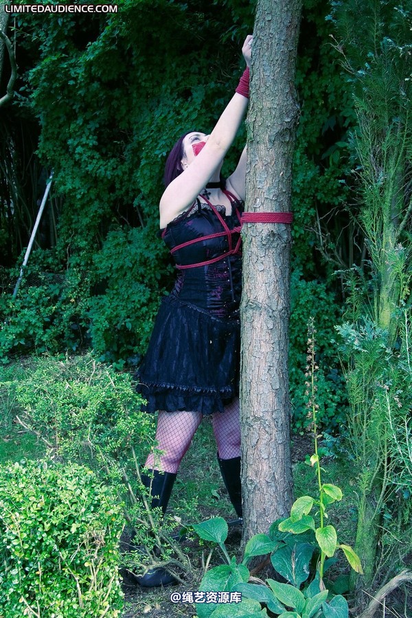 limitedaudience - 2010 carmina and the tree 第 1 张图片