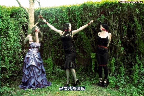 limitedaudience - 2009 catya elyssia lolly pleasure reserves 2 第 4 张图片