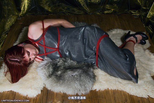 limitedaudience - 2010 scarlett hogtied on rugs 第 2 张图片