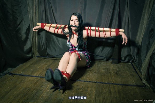 limitedaudience - 2013 stacey von time challenge 2 第 4 张图片