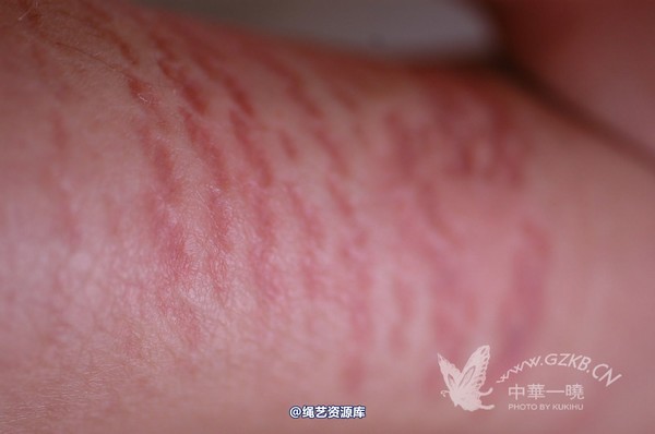 中华一晓 - 中华一晓 NO.0144 第 26 张图片