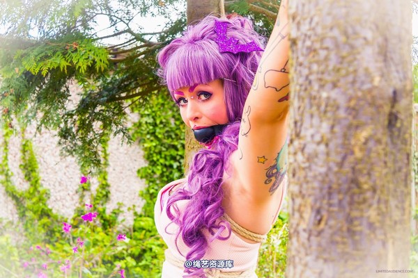 limitedaudience - 2015 kittysocks between trees 第 28 张图片