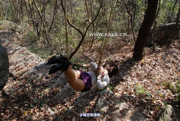 千丝万缕 - 20081116 第 16 张图片