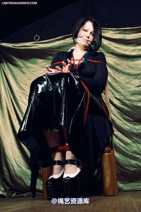 limitedaudience - 2009 deception helpless prisoner 第 5 张图片