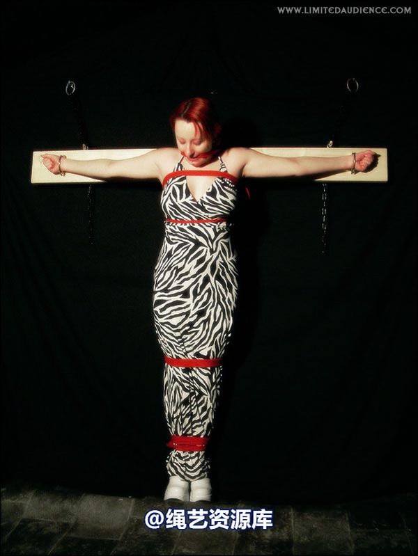 limitedaudience - 2007 erin chained animal 第 15 张图片