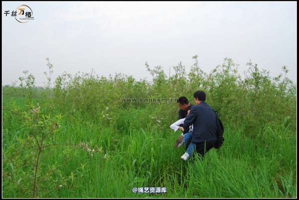 千丝万缕 - 2008-04-06日照片 第 54 张图片