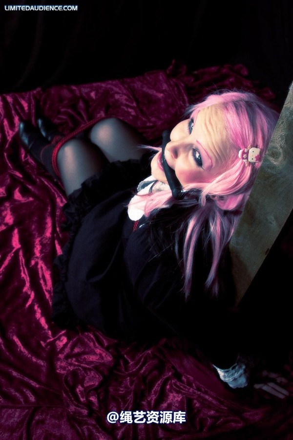 limitedaudience - 2009 assisted suicide taken 第 27 张图片