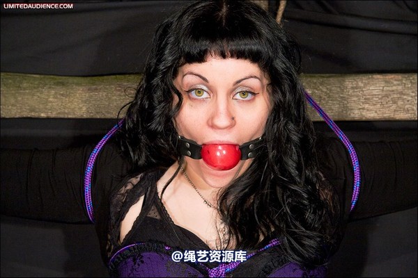limitedaudience - 2008 veriddian hoissy 第 25 张图片