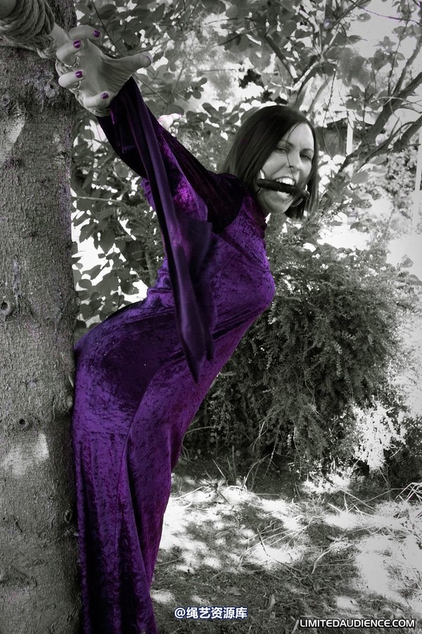 limitedaudience - 2011 carmina unwilling offering 2 第 29 张图片