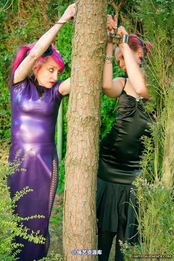 limitedaudience - 2011 beckykat loltaru chained tree seesaw 第 19 张图片