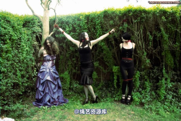 limitedaudience - 2009 catya elyssia lolly pleasure reserves 2 第 7 张图片