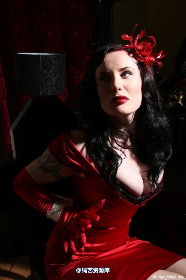bondagebob - Morrigan Noir 第 35 张图片