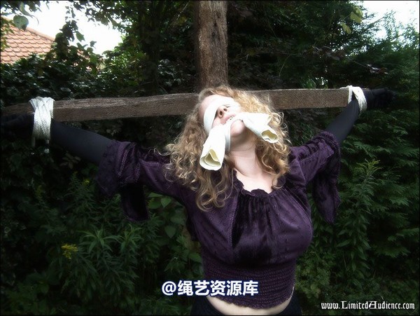limitedaudience - 2007 ivy and the cross 第 65 张图片