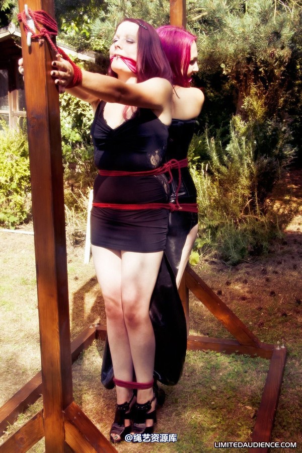 limitedaudience - 2011 elyssia violet reign two for one 2 第 19 张图片