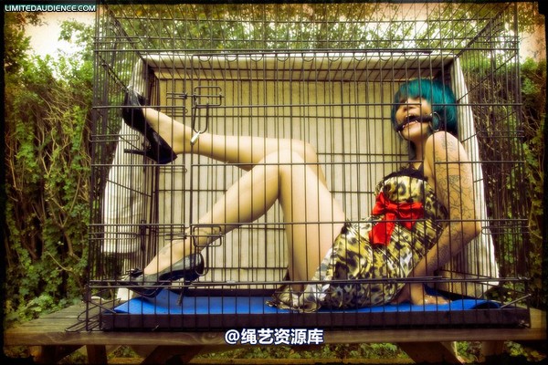 limitedaudience - 2009 b caged animal 第 2 张图片