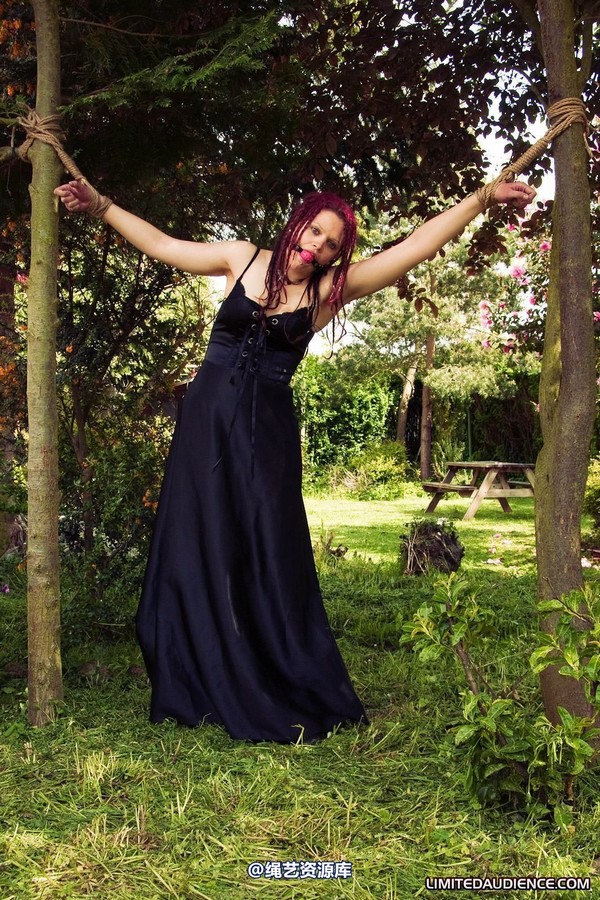 limitedaudience - 2010 beckykat between trees 第 13 张图片