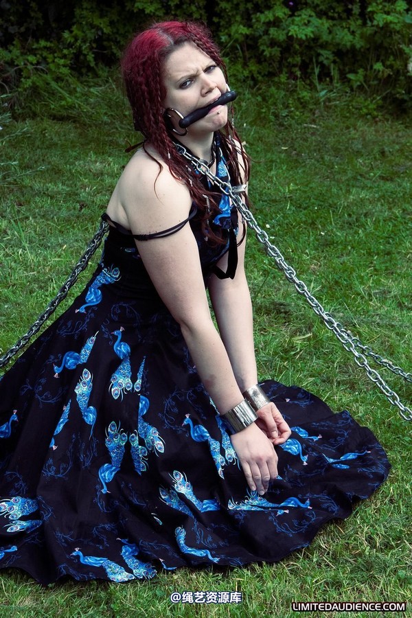 limitedaudience - 2010 beckykat chained and staked 第 27 张图片