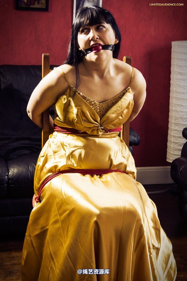 limitedaudience - 2013 dynamo golden satin 2 第 10 张图片