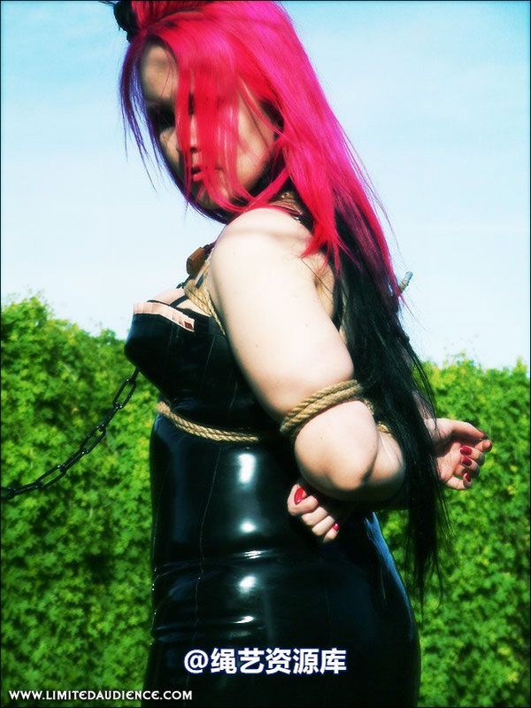 limitedaudience - 2007 assisted suicide at the slave market 第 9 张图片