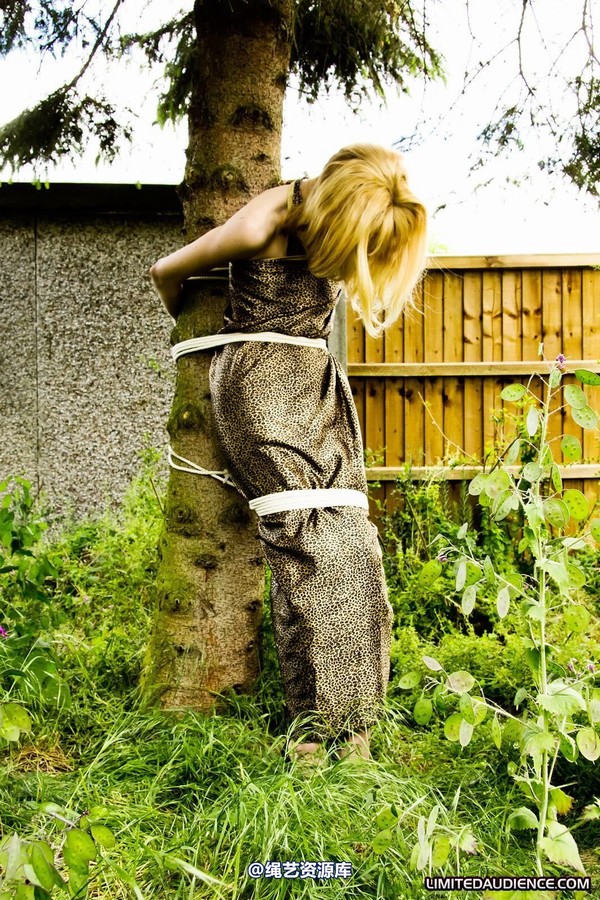 limitedaudience - 2011 ariel tied to a tree 2 第 32 张图片