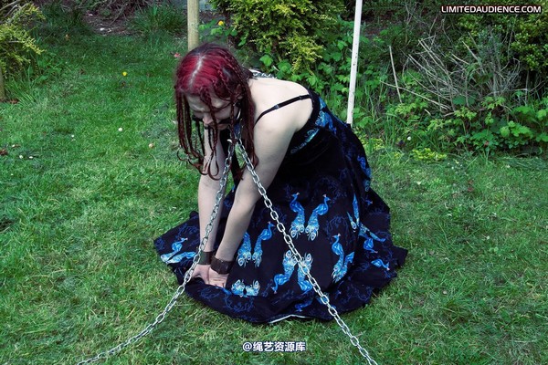 limitedaudience - 2011 beckykat chained and staked 2 第 33 张图片