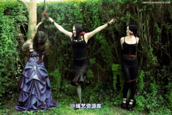 limitedaudience - 2009 catya elyssia lolly pleasure reserves 2 第 9 张图片
