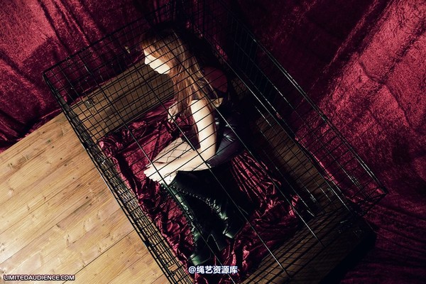 limitedaudience - 2009 ivory not getting out 第 15 张图片