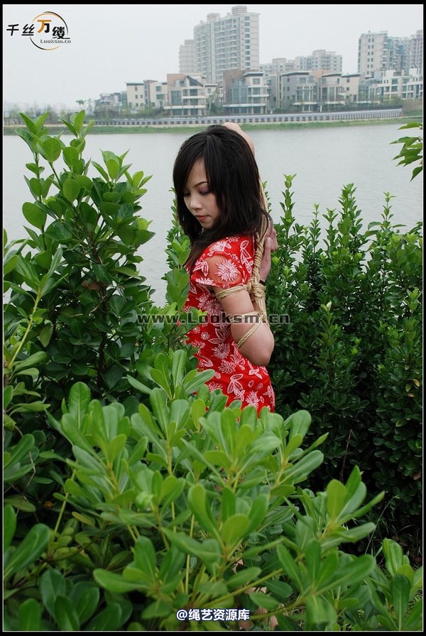 千丝万缕 - 2008-05-07日照片 第 143 张图片