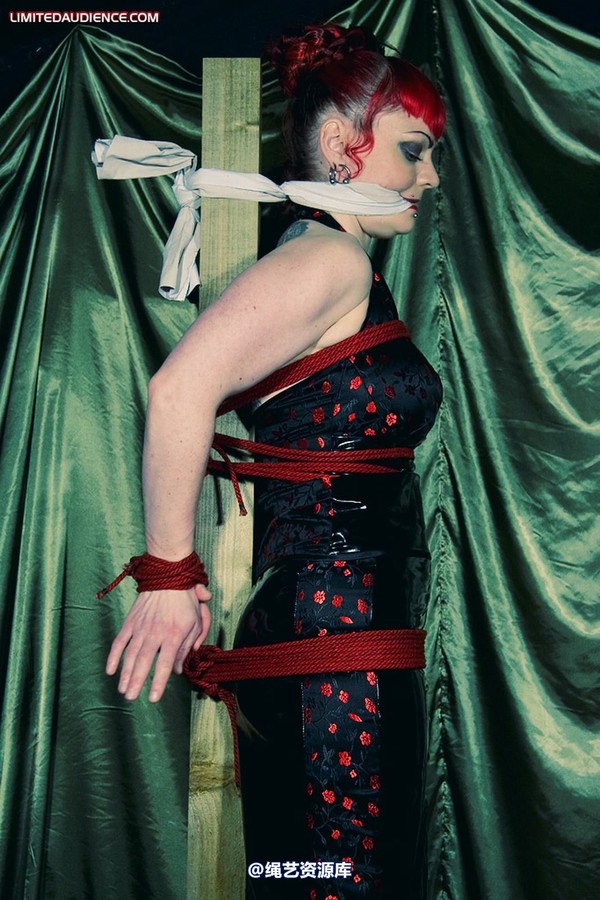limitedaudience - 2009 raevan postbound 第 2 张图片