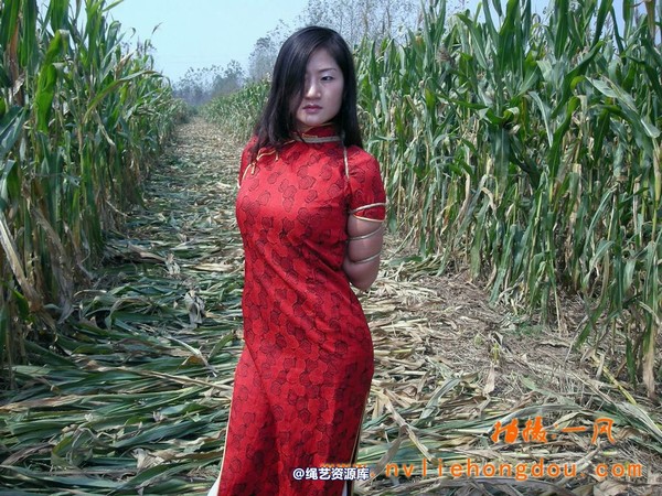 红豆的天空 - 一风大师之作――秋后的季节 第 8 张图片