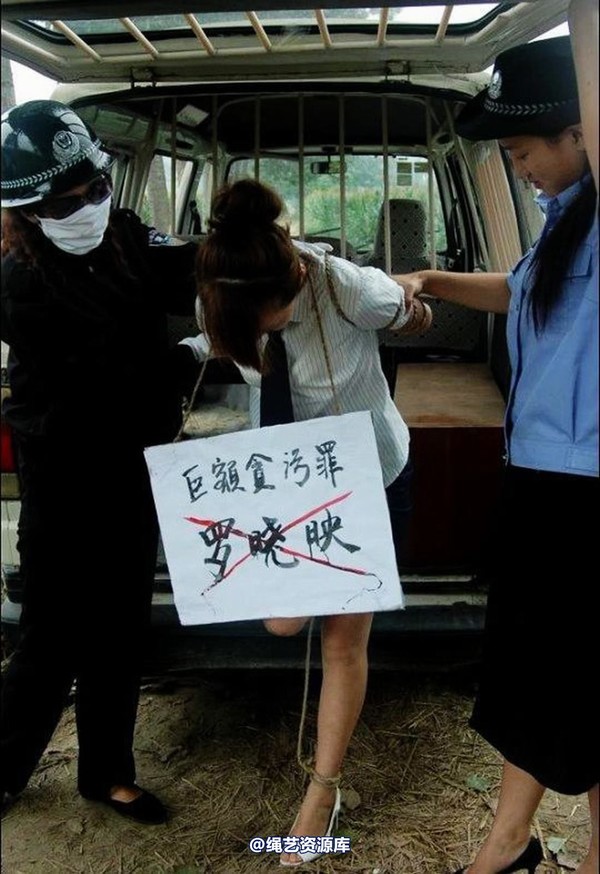 mj影视 - 罗晓秋女贪污犯上刑场 第 3 张图片