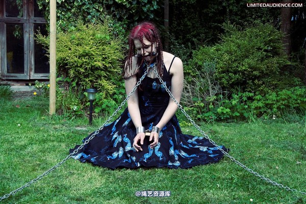 limitedaudience - 2010 beckykat chained and staked 第 34 张图片