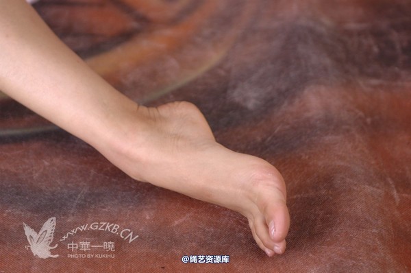 中华一晓 - 中华一晓 NO.0295 第 91 张图片