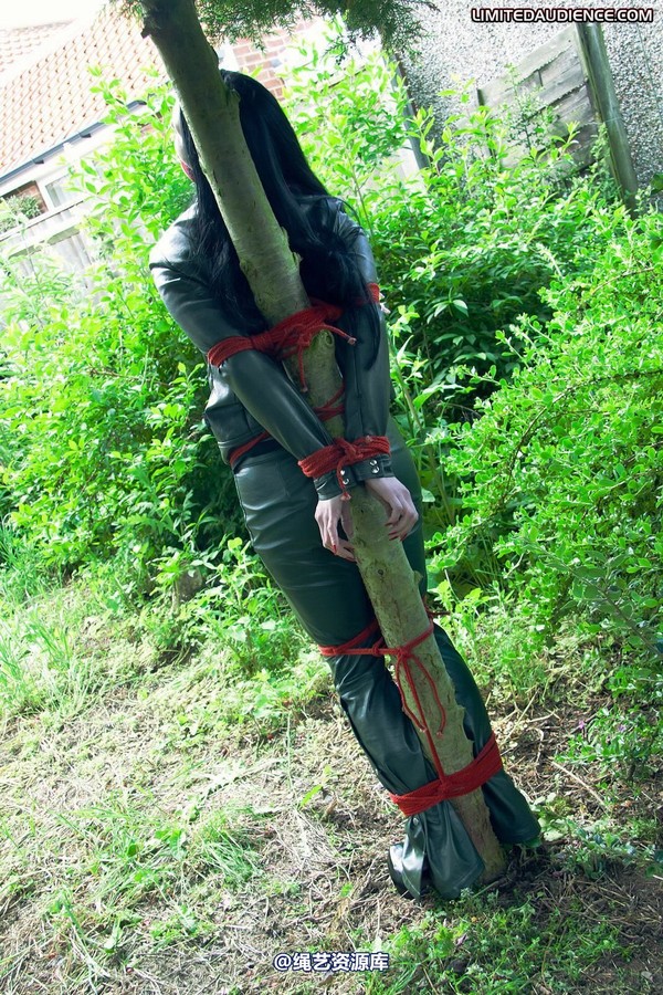 limitedaudience - 2011 rebekka raynor one with the tree 2 第 35 张图片