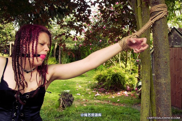 limitedaudience - 2011 beckykat between trees 2 第 7 张图片