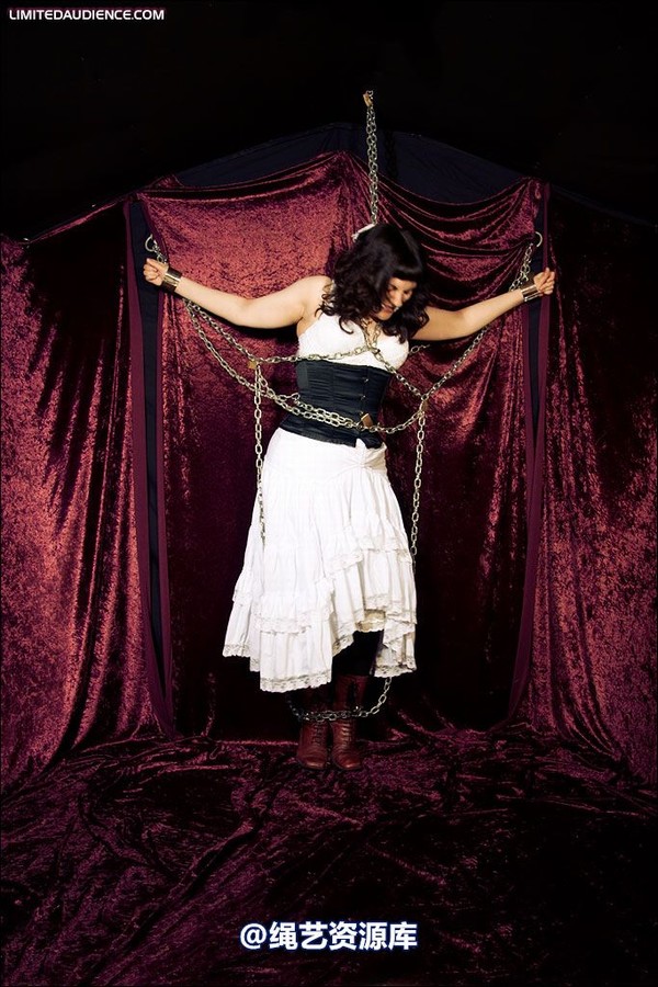 limitedaudience - 2008 veriddian chains on velvet 2 第 4 张图片
