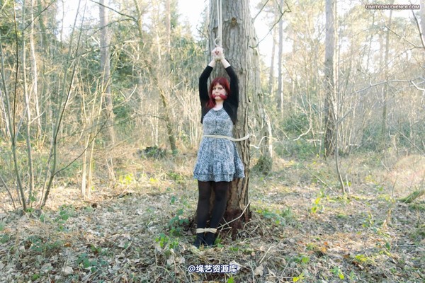 limitedaudience - 2012 scarlett far from help 第 32 张图片