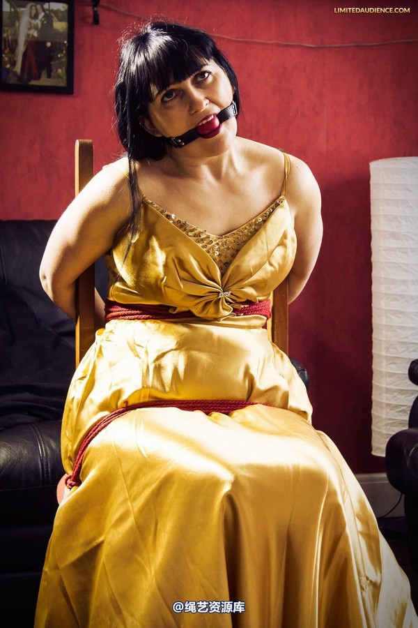 limitedaudience - 2013 dynamo golden satin 2 第 5 张图片