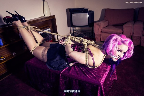 limitedaudience - 2013 assisted suicide hogtie centre piece 2 第 16 张图片