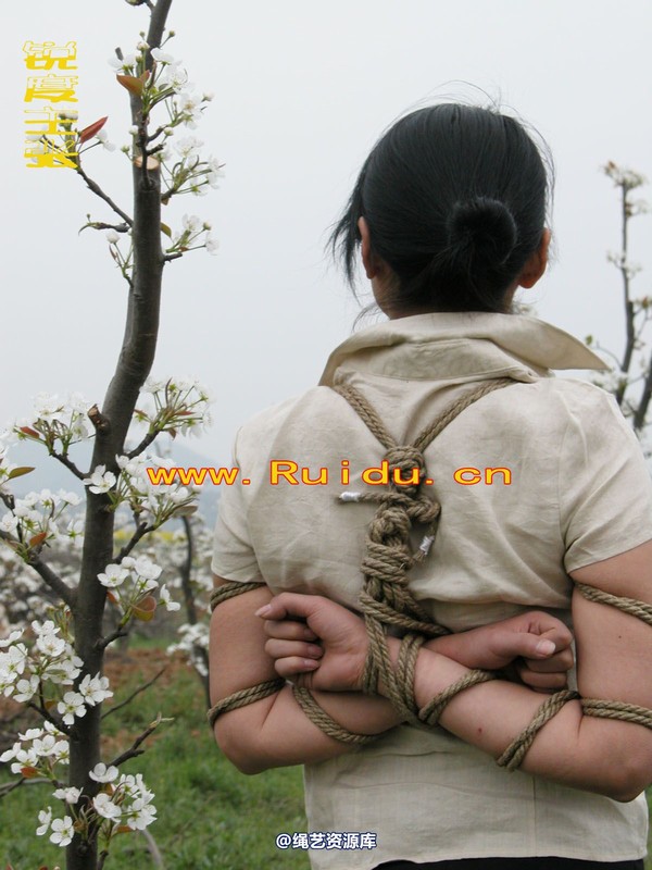 锐度主张 - 婷婷和寒冰梨花林中 第 43 张图片
