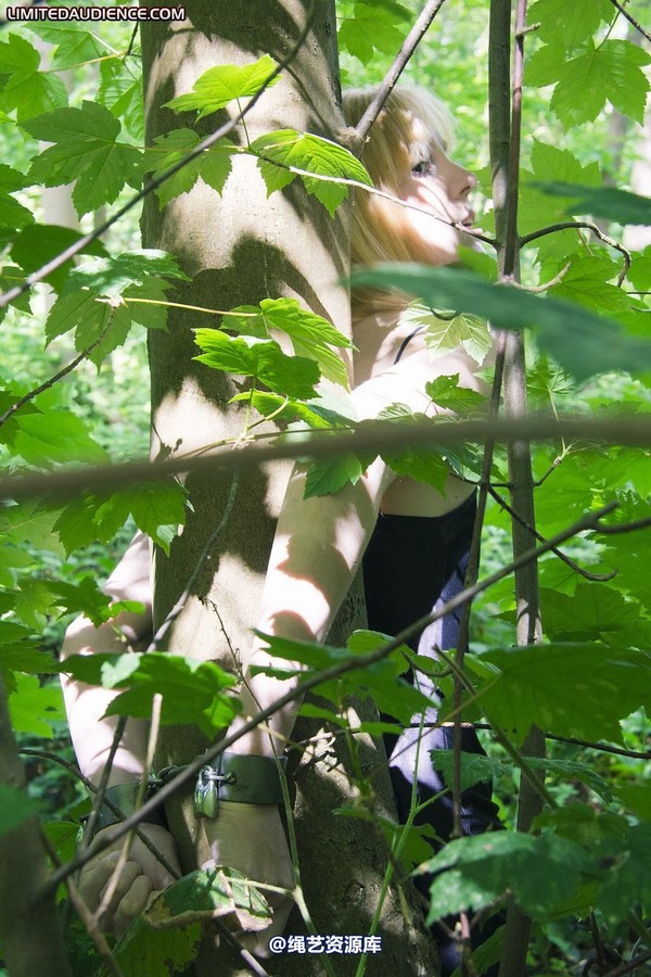 limitedaudience - 2011 ariel chained in the forest 第 15 张图片