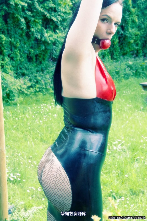 limitedaudience - 2010 rebekka raynor latex leather and chains 第 30 张图片