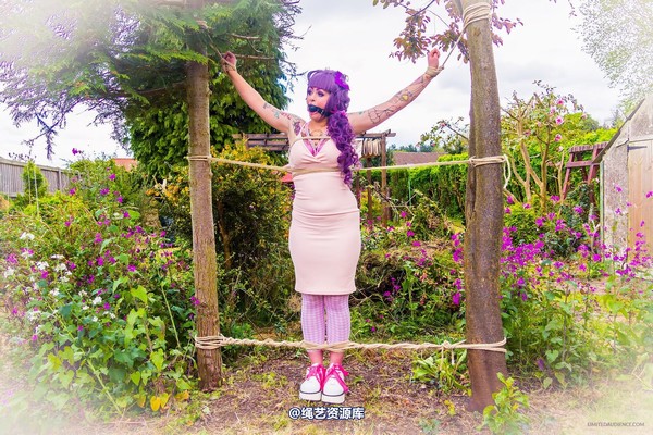 limitedaudience - 2015 kittysocks between trees 第 3 张图片